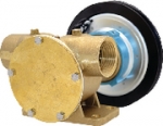Johnson 1013022963 Bronze Clutch Pump